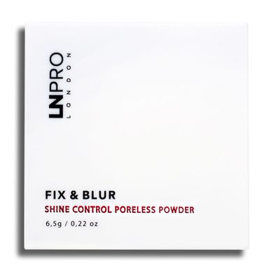 Пудра матирующая LN PRO Fix & Blur Powder