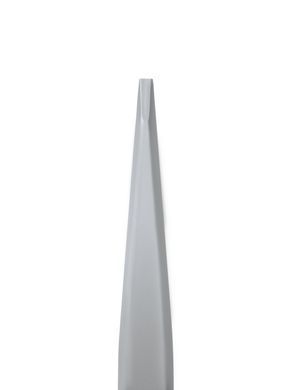 Пінцет для брів Staleks Beauty&Care 10 Type 2, вузький прямий (4820121590510)