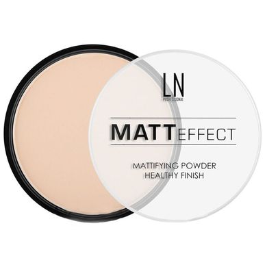 Пудра для лица LN Professional Matt Effect
