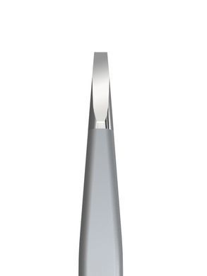 Пінцет для брів Staleks Pro Expert 10 Type 2, вузький прямий (4820121592897)