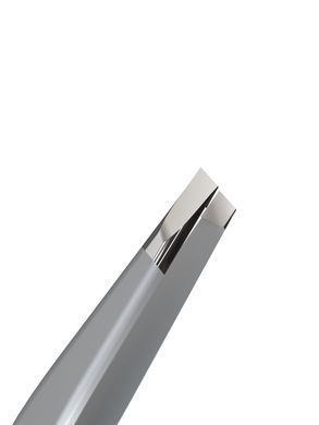 Пінцет для брів Staleks Pro Expert 10 Type 2, вузький прямий (4820121592897)