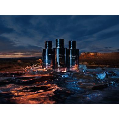 Dior Sauvage парфюмированная вода для мужчин 60 мл (3348901368254)