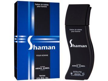 Corania Parfums Shaman туалетная вода для мужчин 100 мл (MM35415)