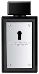 Antonio Banderas The Secret Тестер (туалетная вода) 100 мл