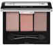 Тіні для повік потрійні Bless Beauty Trio Fusion Eyeshadows №01