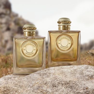 Burberry Burberry Goddess Intense парфумована вода для жінок 50 мл (3616304967115)