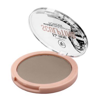 Компактна пудра-скульптор TF Cosmetics SCULPTING powder I'm TREND