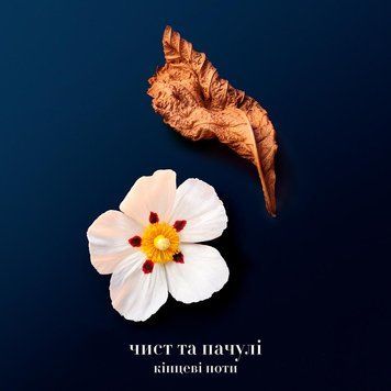 Giorgio Armani Acqua di Gio Profondo парфуми для чоловіків 30 мл (3614273953771)