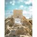 Carner Barcelona Mediterranean Collection Rock Star парфумована вода унісекс 100 мл (8437017668794)